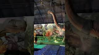 Dinosaur park gurugram [upl. by Race]