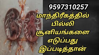 மாந்திரீகத்தில் பில்லி சூனியங்களை எடுப்பது இப்படித்தான் [upl. by Nyrahs]