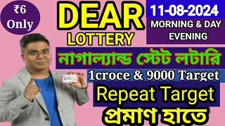 11082024 morning 6pm 8pm repeat target number NagalandLottery Sambad LiveLottery Target Number [upl. by Mazman405]