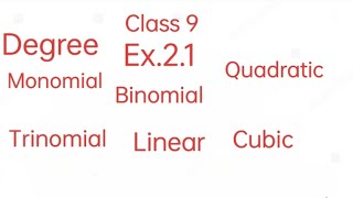 Polynomial Ex 21 Class 9 [upl. by Fulviah]