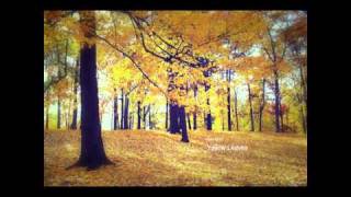 Chris Botti  Yellow Leaves Composer Giya Kancheli [upl. by Scrivens742]