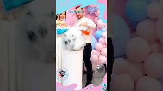 Magic Gender Reveal ❤️💙 genderreveal babyshower [upl. by Adnamra]