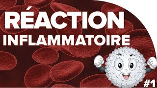 Réaction inflammatoire  SVT  SANTÉ 1ère spé 7  Mathrix [upl. by Anirret360]