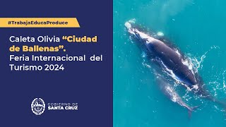 Caleta Olivia “Ciudad de Ballenas” Feria Internacional del Turismo 2024 [upl. by Nivlak934]