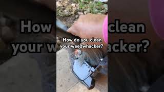 Do you maintain your weed wackers Weed wacker maintenance lawnlife lawncare lawnmaintenance [upl. by Den]