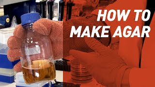 How to make Agar  Singer Instruments [upl. by Kcinemod]