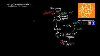 Fermentación [upl. by Douville]