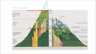 Geographie einfach gemacht Vergleich Alpen  Anden [upl. by Allister375]