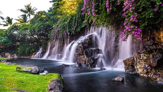 Relaxing Zen Music with Water Sounds • Peaceful Ambience for Spa Yoga and Relaxation [upl. by Collie9]