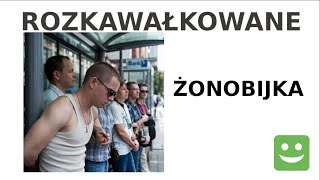 Kawał  Żul w tramwaju  Rozkawałkowane [upl. by Amarillis]