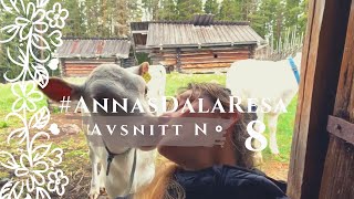 Anna Vild  AnnasDalaResa avsnitt 8 Fäboden den kvinnliga frizonens eko [upl. by Ahsienod]