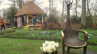 Najpiękniejsze Ogrody Świata  Keukenhof Holandia [upl. by Adnocahs]