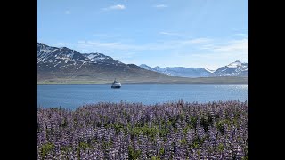 Natural Wonders of Iceland Small Ship Expedition Cruises [upl. by Onairda]