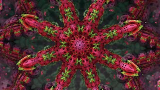 Fractal Compilation  Week 3 [upl. by Enneyehs]