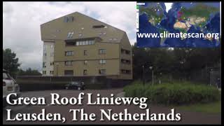 Green Roof Linieweg Leusden The Netherlands [upl. by Bondon668]