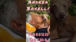 Andrea Bocelli sings quotNessun Dormaquot [upl. by Thissa]