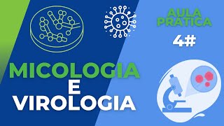 Micologia e Virologia  AULA PRÁTICA 4 [upl. by Ahsoj]