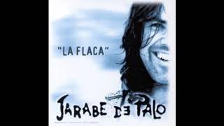 La flaca Jarabe de Palo Con letra [upl. by Gustave]