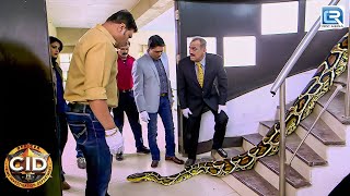 घर के अंदर मिले अजगर को कैसे पड़ेगी CID  CID Latest Episode  Best Of CID [upl. by Aliet]