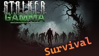 Stalker GAMMA zombie survival [upl. by Lleirbag]