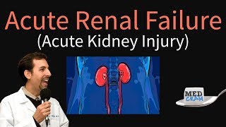 Interpretation of LFTs Liver Function Tests [upl. by Anej510]