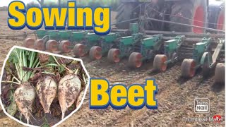 Sowing fodder beet [upl. by Ireva971]