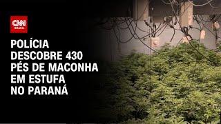 Polícia descobre 430 pés de maconha em estufa no Paraná  LIVE CNN [upl. by Imot]