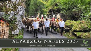 Alpabzug Näfels 2023  reisenlifestylech [upl. by Ramoj]