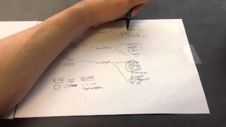 DNA and RNA Viruses Mnemonic for USMLE Step 1 [upl. by Ocsisnarf]