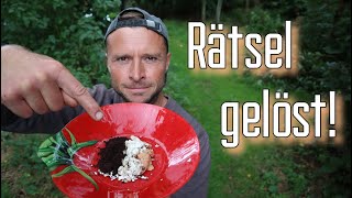 Die WAHRHEIT über Kaffeesatz amp Eierschalen im Garten 🌿 [upl. by Darin]