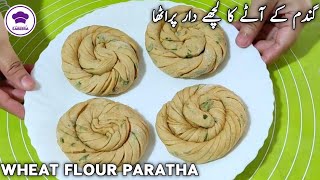 Lachedar Crispy Masala Paratha Recipe  Wheat Flour Crispy Paratha Recipe [upl. by Nyltyak]