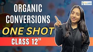 All ORGANIC CONVERSIONS of NCERT Class 12 ONESHOT  Boards  NEET neet cbse cbseboard neet2024 [upl. by Nataline]