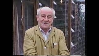 Video 316 John Mayson of Babworth Premier Pigeon Racer [upl. by Einnaffit]