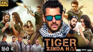 Tiger Zinda Hai Full Movie  Salman Khan  Katrina Kaif  Sajjad Delafrooz  Review amp Facts HD [upl. by Casady]