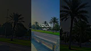 quran Mashallah payari awaz Ma talayat🌹🥰youtubeshortsviral watchsubscribetrendingshortvideo [upl. by Niai]