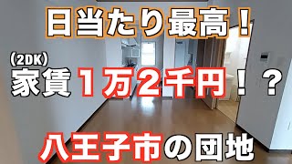 【東京八王子市・団地２DKのルームツアー】日当たり最高で、家賃１万２千円 [upl. by Isnam]