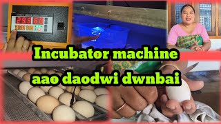 Incubator machine aao daodwi khwo dwnbai  Ringkhang Baro Vlog 🙏🙏🙏🙏🙏 [upl. by Roselba]