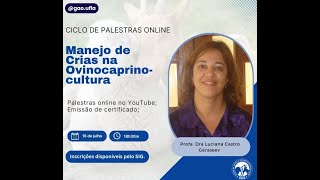 Manejo de Crias na Ovinocultura de Corte  Profa Luciana Castro Geraseev [upl. by Eznyl]