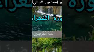 سورة الشعراء القارئ ياسر الدوسري [upl. by Airehs]