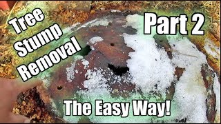 Possibly The Easiest Way To Remove A Tree Stump Using Epsom Salt Part 2  Update amp Improvement [upl. by Hamish352]