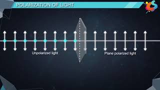 16  Class 12  Physics  Wave Optics  Polarisation [upl. by Wyler545]