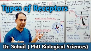 Types of Receptors  Skin as a Receptor Organ  12th Biology  MDCAT Biology  NEET Biology [upl. by Granlund15]