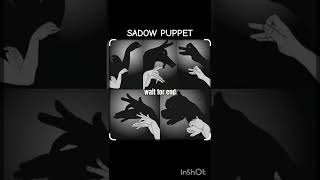 SHADO PUPPET SHORT video [upl. by Altis880]