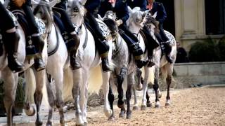 Cómo bailan los caballos andaluces [upl. by Aubigny]