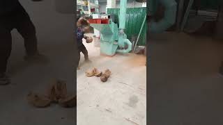 Coconut shells crusher grinder machine [upl. by Sumahs]