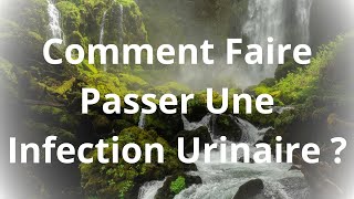 Comment faire passer une infection urinaire [upl. by Possing]