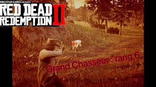 GRAND CHASSEUR 6 ASTUCE POUR TROUVER VOS COUGARS RAPIDEMENT 100  RED DEAD REDEMPTION 2 [upl. by Bultman]