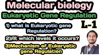 Eukaryotic Gene RegulationL1What is Eukaryotes Gene Regulation amp its Mechanismmolecularbiology [upl. by Acus692]