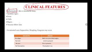 CELLULITIS  A QUICK REVIEW  cellulitis cell biology science education medicalstudent [upl. by Ynffit332]