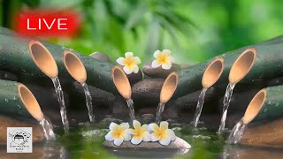 🔴 Spa Music 247 Stress Relief Music Relaxation Music Massage Music Sleep Music Waterfall [upl. by Ricard338]